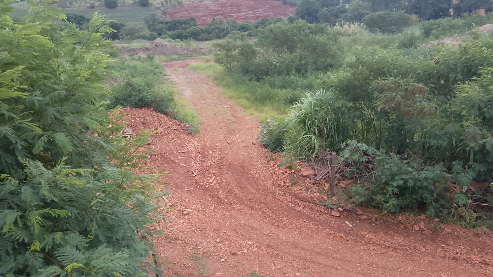 foto 11.jpg