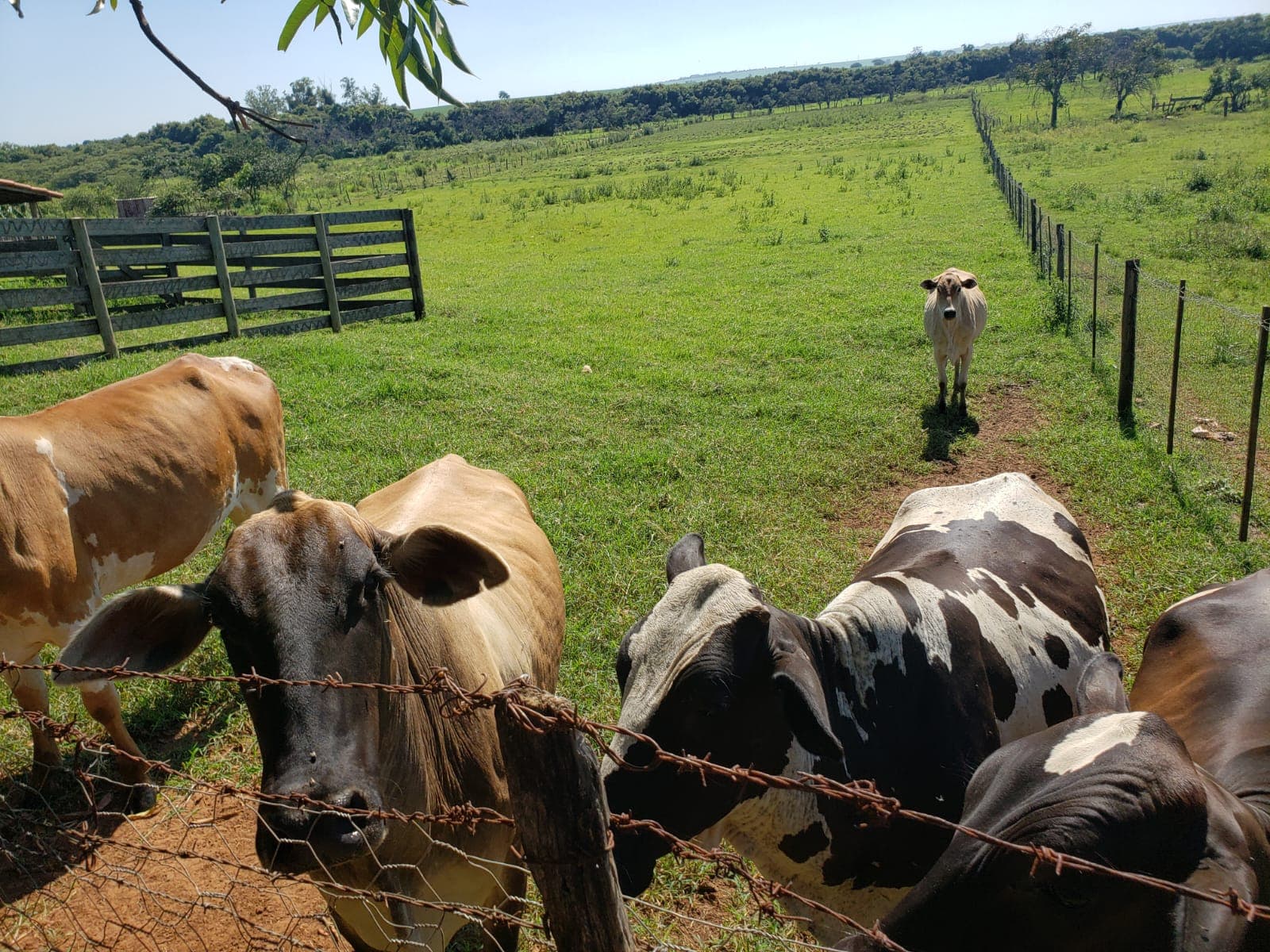47_ca2725d6fd.webp