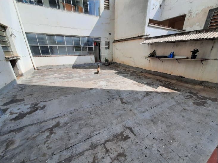 WhatsApp Image 2023-05-28 at 12.00.30 (1).jpeg